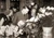 historia ro undefined jpeg