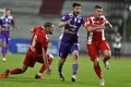 dinamo fc arges jpg