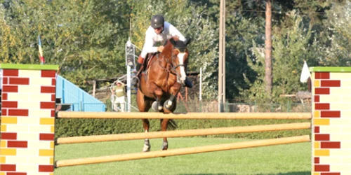 Neamţ: Cei mai frumoşi bidivii din ţară, în spectacol la Piatra Neamţ