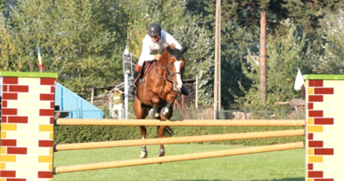 Neamţ: Cei mai frumoşi bidivii din ţară, în spectacol la Piatra Neamţ