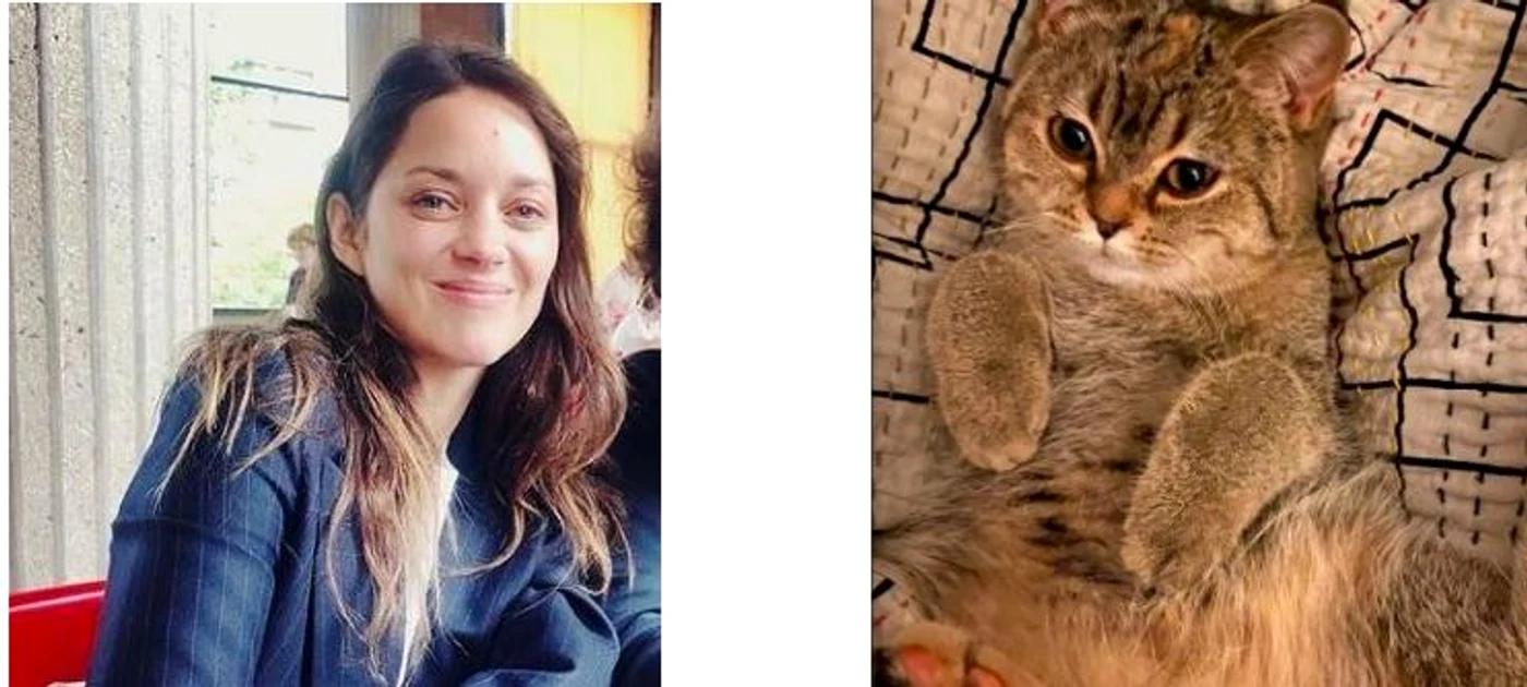 Marion Cotillard a pus o poză cu pisica Lily pe rețelele socialeFoto: Instagram