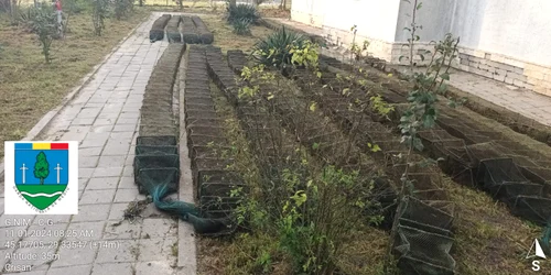 garda de mediu amenzi delat dunării jpg
