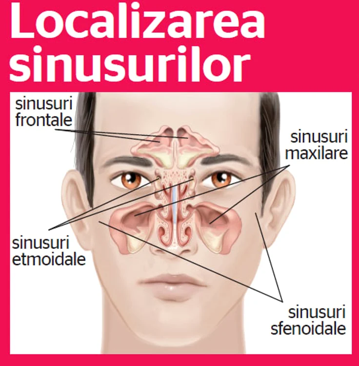 Sinusuri