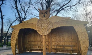 statie bufnita foto facebook lia olguta jpg