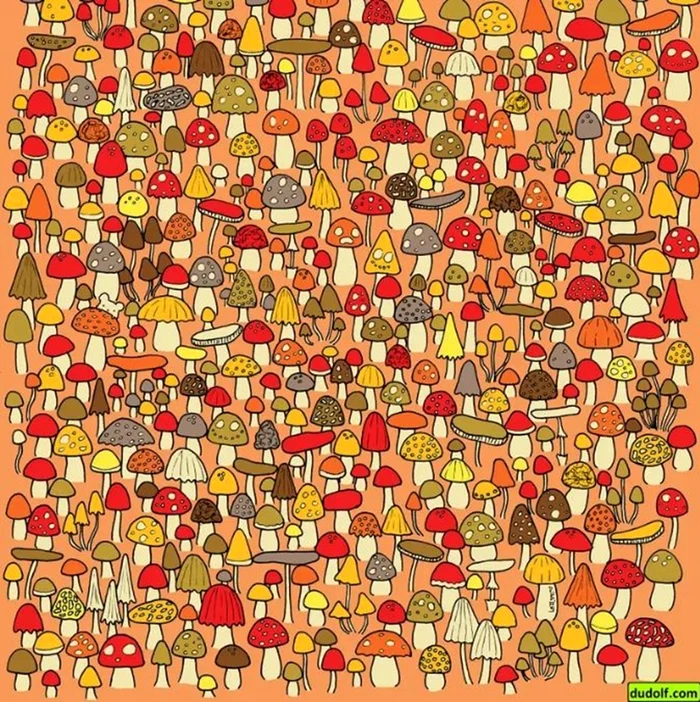 Testul trebuie rezolvat în 25 de secunde / foto: Dudolf