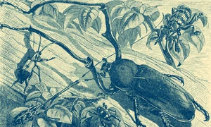 Nuntă în iarbă jpeg