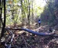 Fosta cale ferată Hunedoara Govajdia Foto Daniel Guță (30) jpg