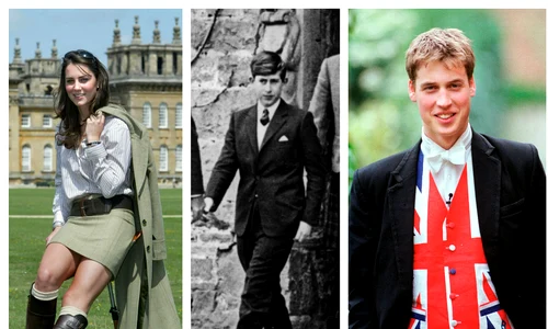 școala la Palat colaj jpg