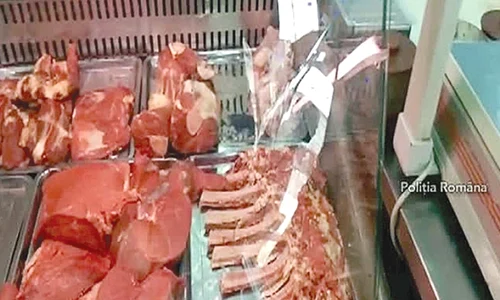 carne 12155102151512 jpeg