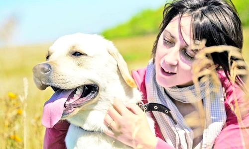 1 47728 original jpg jpeg