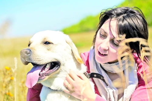 1 47728 original jpg jpeg