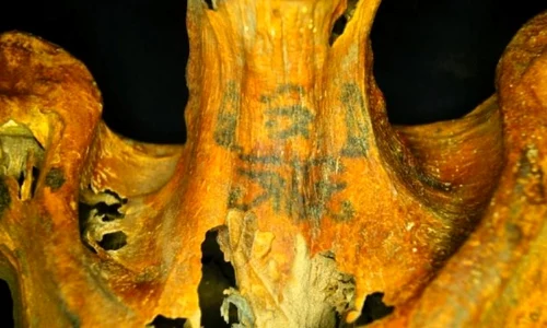 Tatuaje foarte complicate, descoperite pe o mumie veche de 3000 de ani jpeg