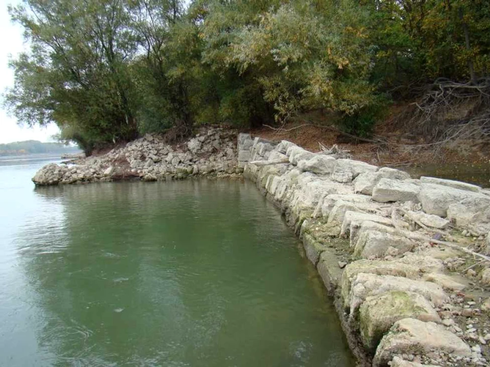 calarasi pacui