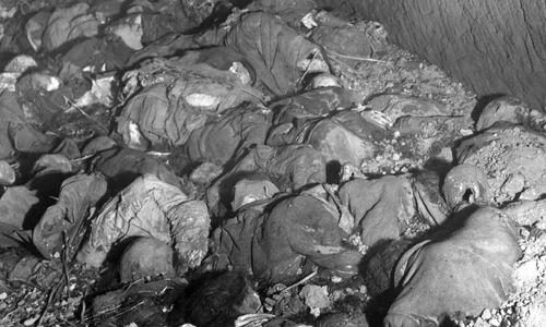 1 shutterstock 754279420 jpg jpeg