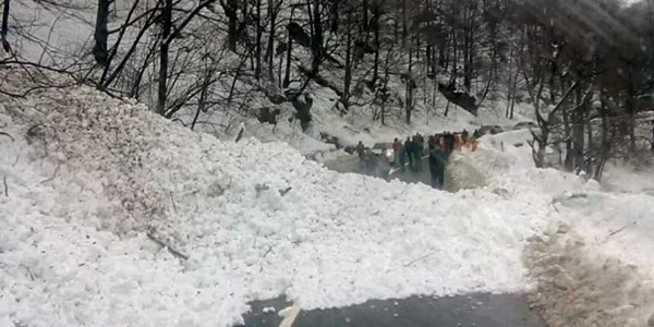 avalansa