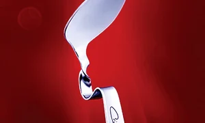 Lingura costă 49,9 lei  jpeg