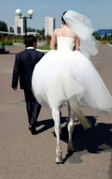 7. Această mireasă pare că este un centaur