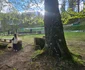 Sarmizegetusa Regia  Foto Daniel Guță ADEVĂRUL (5) jpg