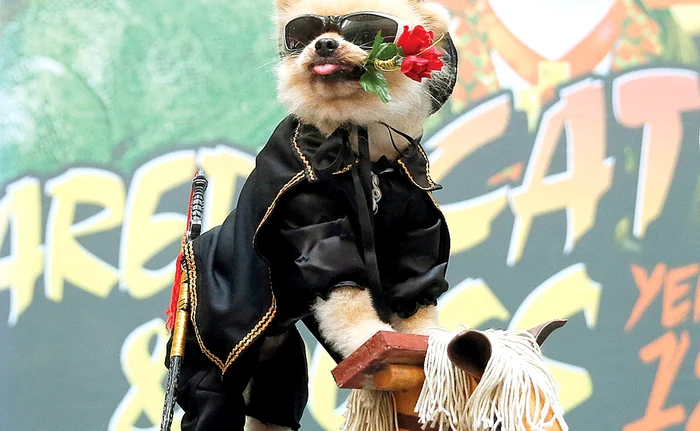 „Îmi place viteza, vântu-mi strică freza...”Foto: AP