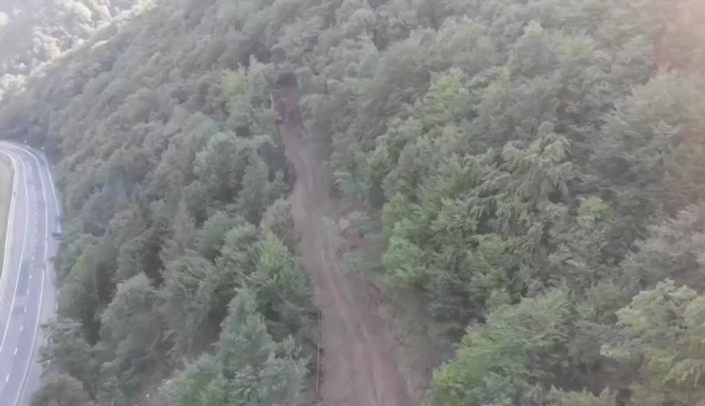 Lucrările de defrișare de pe Valea Oltului au depășit 23% din suprafața aflată lângă șosea VIDEO
