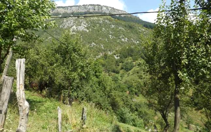 satul vintilani mehedinti FOTO Alexandra Georgescu 