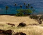Hawaii, destinația care i-a cucerit pe cei doi vloggeri români. Foto: Instagram