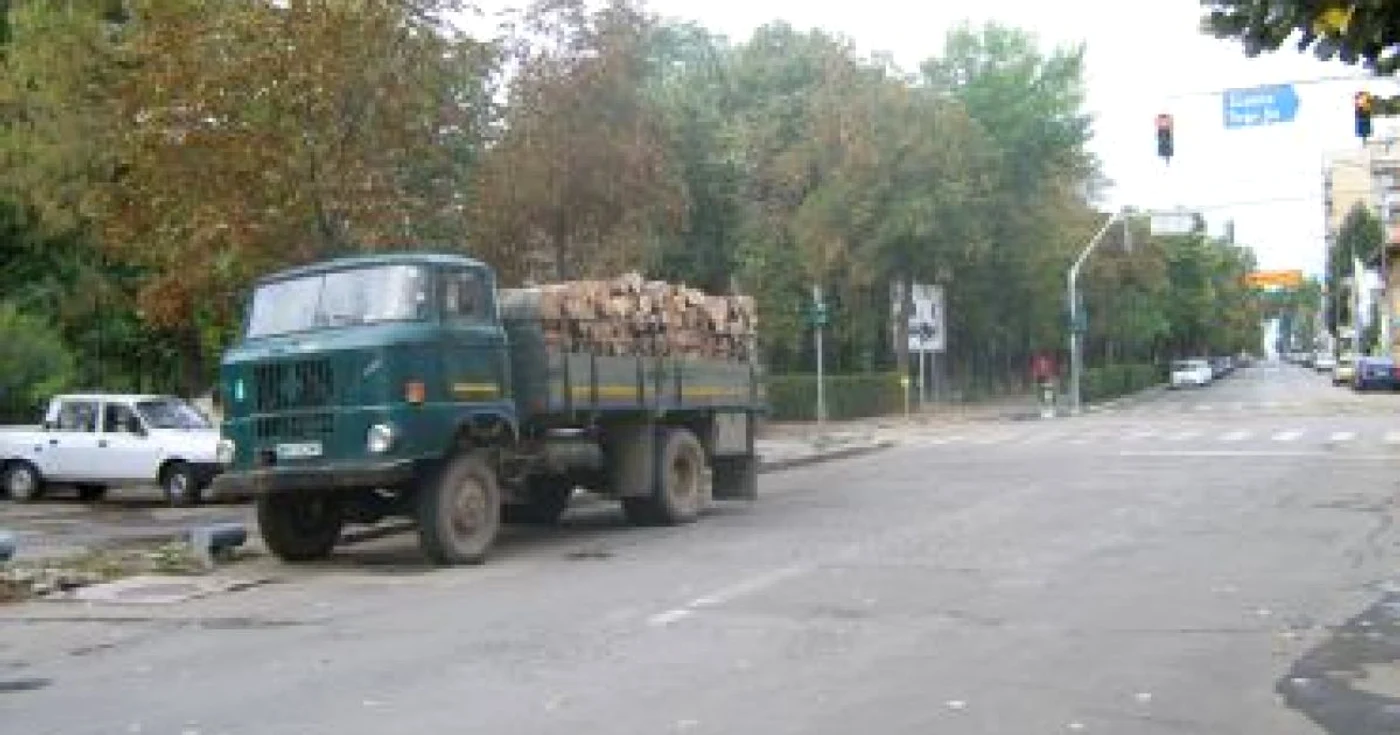 Turnu Severin: Comerț ilicit cu lemne pentru iarnă
