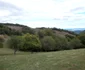 preluca