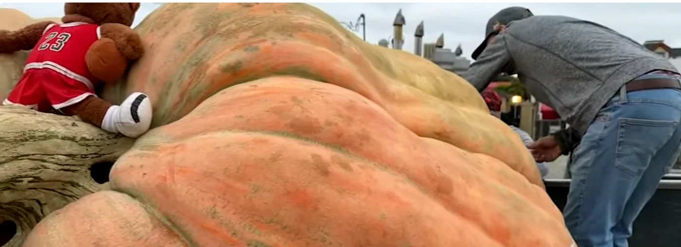 Dovleacul gigant a depășit recordul anterior. FOTO Captură video YouTube ABC7News