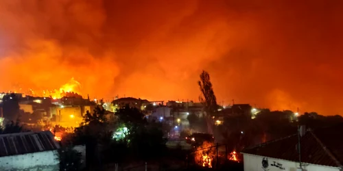 Incendii Grecia august 2021 FOTO EPA-EFE