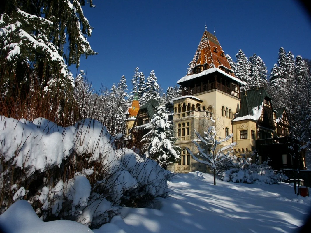 castelul pelisor