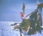 Pe 17 mai 1995, Constantin Lăcătușu a stabilit recordul de pe Everest