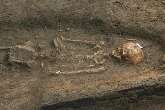 Schelete umane, descoperite la Universitate, în Bucureşti