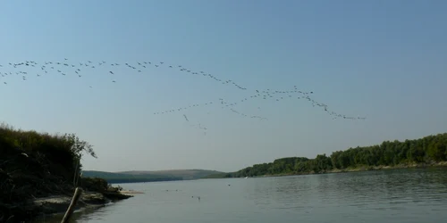 Fluviul Dunărea