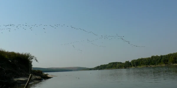 Fluviul Dunărea