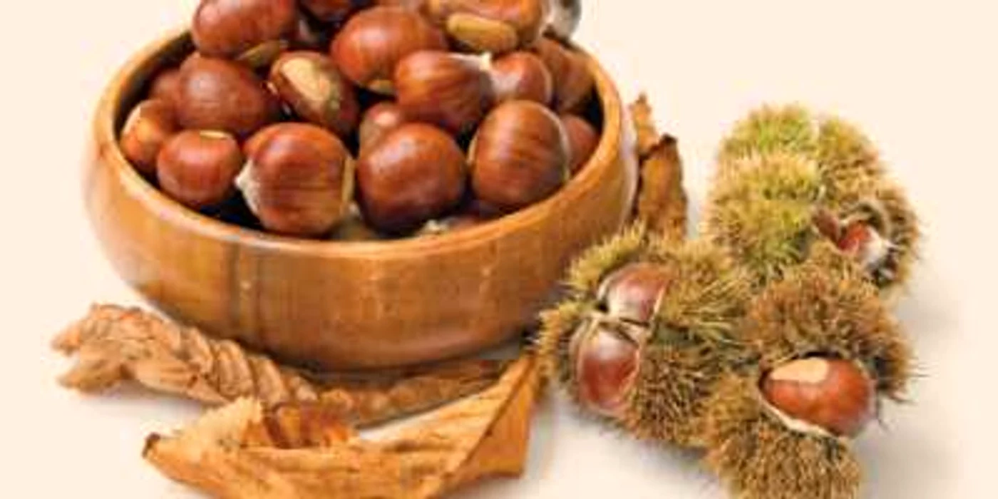 Castanele au la fel de multă vitamina C ca şi lămâile