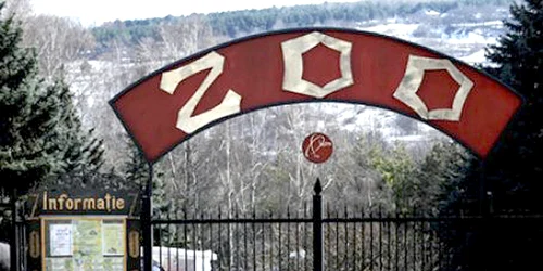 Zoo foto IPN