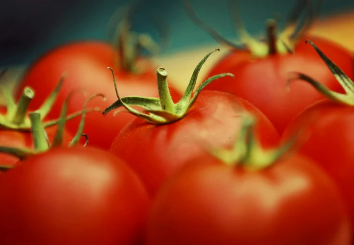 Roşiile cu moţ ar conţine chimicale, spun agronomii FOTO Adevărul