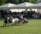 Karpathia Horse Show