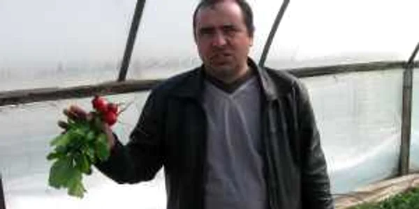 Legumicultorii din Băleni sunt disperaţi că le-au îngheţat legumele în pământ