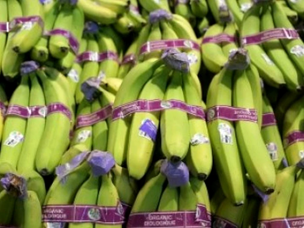 banane verzi jpeg