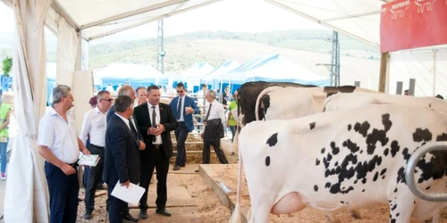 Expoziţii la Târgul Agralim