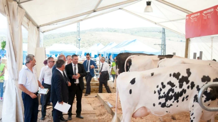 Expoziţii la Târgul Agralim FOTO Organizatori