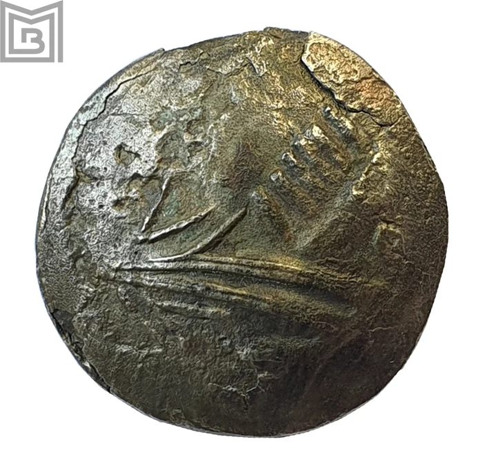 Moneda dacică descoperită la București – Dămăroaia (foto: Muzeul Municipiului București)