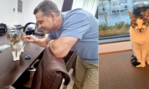 Ciprian Ciucu, pisica, foto arhiva, Facebook jpg