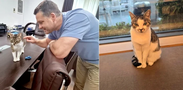 Ciprian Ciucu / Foto: arhivă, Facebook