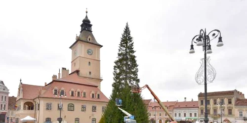 Brad Crăciun Piaţa Sfatului Brasov Foto