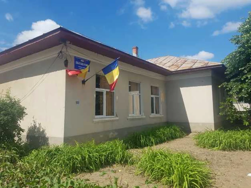 scoala damian Sadova Dolj