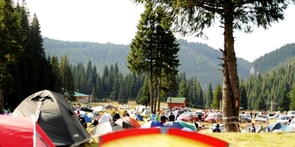 racoare bucegi