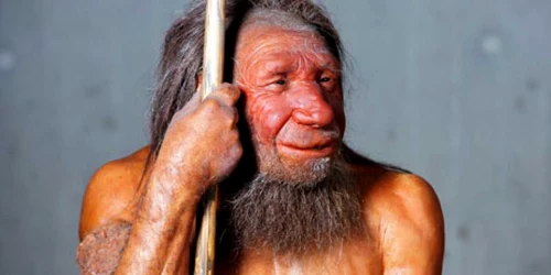 Neanderthalienii ştiau să vorbească FOTO: The Guardian